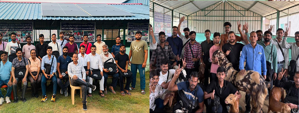 GIC Commercial Goat Farming Training Centre, Mathura